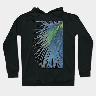 Palm Reverie Hoodie